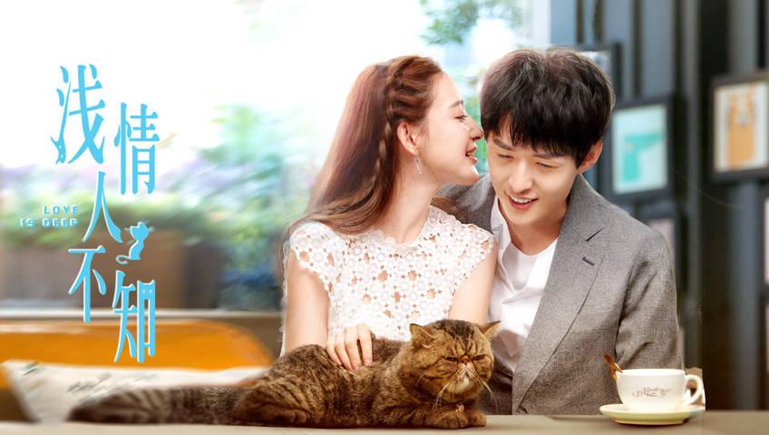 可怜猫的救援